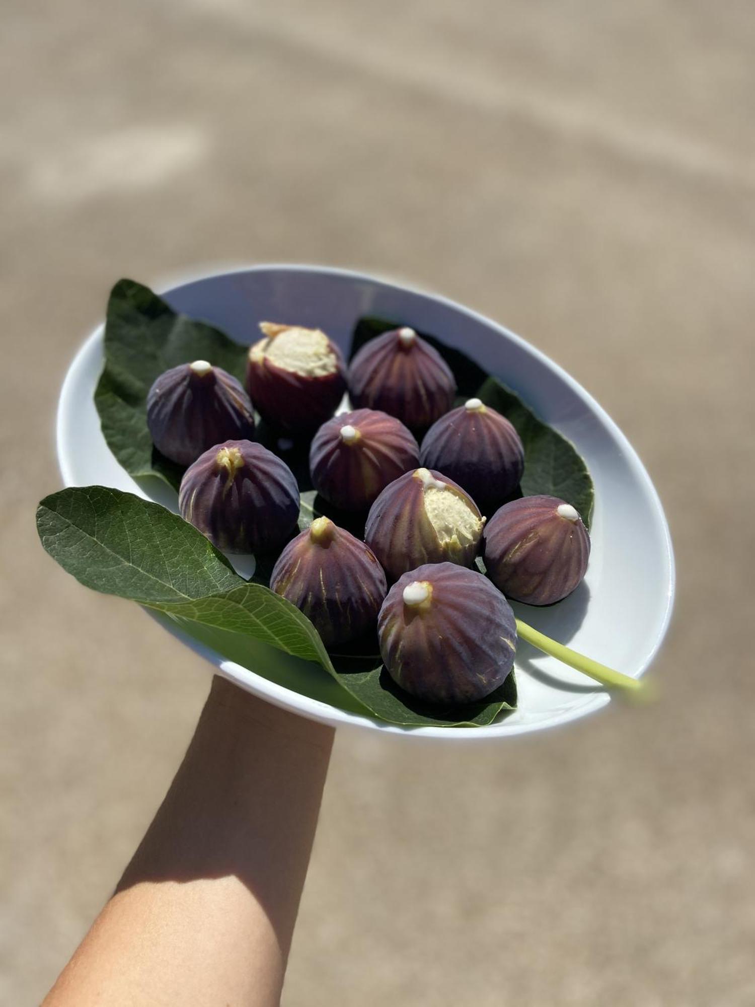 Masseria Conca D'Oro 오스투니 외부 사진